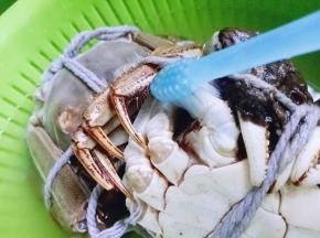 用干净的牙刷刷干净。