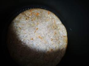 中小火煎到一面变色变焦，翻面煎另一面