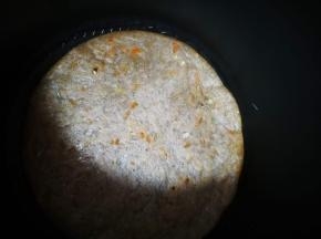 中小火煎到一面变色变焦，翻面煎另一面