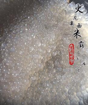 锅中放清水再次煮沸，倒入西米煮沸至透明后捞起放凉待用