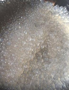 锅中放清水再次煮沸，倒入西米煮沸至透明后捞起放凉待用