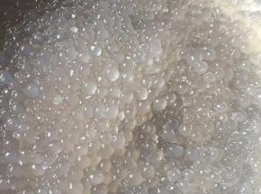 锅中放清水再次煮沸，倒入西米煮沸至透明后捞起放凉待用