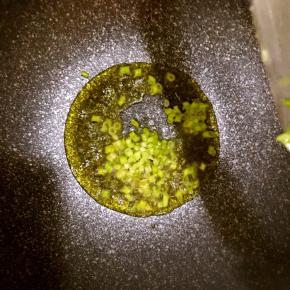 倒入葱花爆香，并加入适量盐