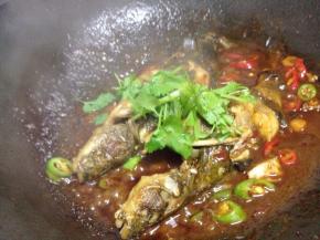 最后加入一些香菜即可出锅~