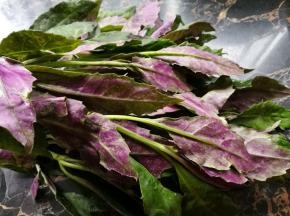 材料：紫贝天葵一把 蒜蓉适量 盐少许