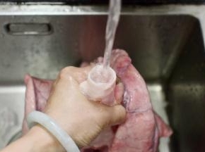 猪肺买回来一定要彻底的清理一下，这里教大家方法，很简单：就是买回来的猪肺从喉管地方用活水不断冲洗，到猪肺鼓起来然后倒掉里面的血水，如此反复几次到血水变得干净就可以了。