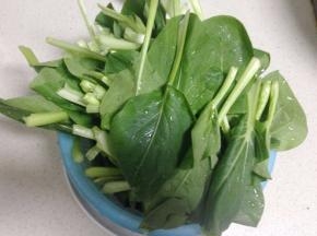 把小白菜摘好清洗干净