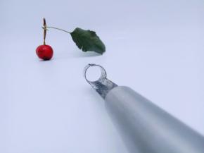 再烤一下，无论苹果核，梨核等等都可以用。