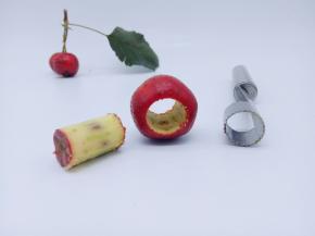 去核的山楂，家有小朋友的建议还是去核。