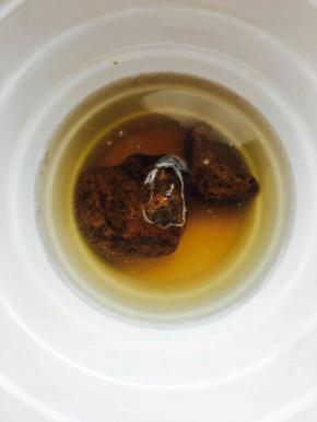 黑糖块用热水化开