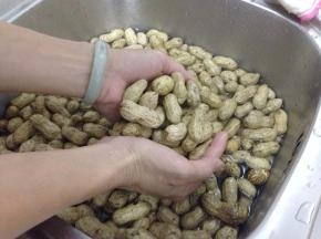 然后用手来回擦洗去花生壳的泥~