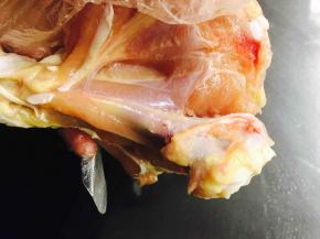 琵琶腿去骨取肉，用刀背松弛下