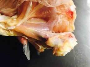 琵琶腿去骨取肉，用刀背松弛下