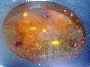 炒匀后加入适量的清水、盐、生抽煮开~