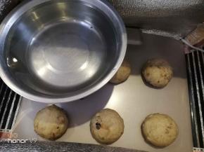 放入发酵箱，里面放入一碗热水，保持在38度左右。