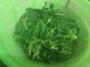 沥干菠菜的水分，用手稍微挤压一下。