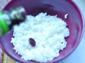 3、米饭里加入寿司醋、白糖、香油、盐拌匀。