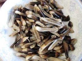 我买的鸡枞菌个头比较小，而且是都没有开伞的，为了更容易入味，焯烫好的鸡枞菌纵向手撕成两半