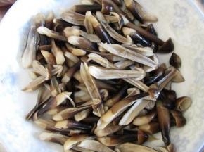 我买的鸡枞菌个头比较小，而且是都没有开伞的，为了更容易入味，焯烫好的鸡枞菌纵向手撕成两半