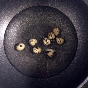 鹌鹑蛋洗净冷水下锅煮熟
