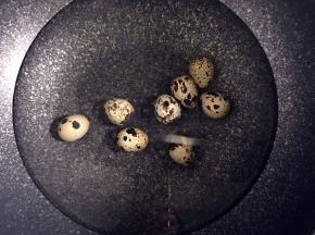 鹌鹑蛋洗净冷水下锅煮熟