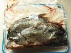 真空包装的鲫鱼，收到的时候超级新鲜，而且都收拾干净了，只需洗一下就可以烹调了。