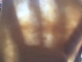 随便一拉，手套膜