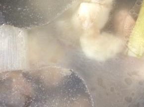 煮好的大骨