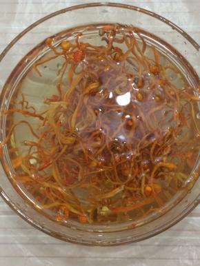 虫草花洗净，用水浸泡一会儿