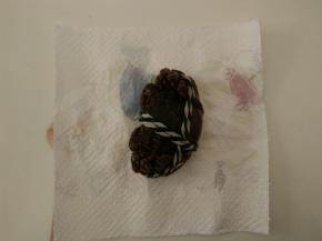 大闸蟹刷洗干净，用厨房纸巾吸干水分。