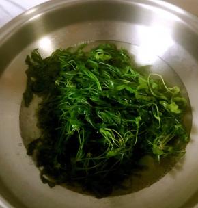 荠菜洗净放开水里烫一下，立刻放冷水里过一下，然后挤干切碎与肉末拌匀