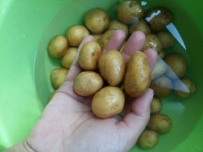 要把带皮的土豆洗干净，可以用干净的牙刷在表面轻轻的刷几次。