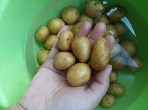 要把带皮的土豆洗干净，可以用干净的牙刷在表面轻轻的刷几次。