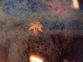 加入清水，能没过丸子的一半就可以了。