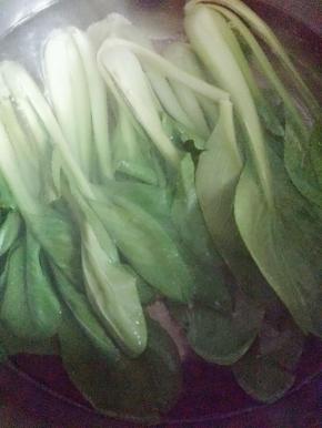小油菜放入开水中烫熟，水里加一点点油和盐，这样油菜煮熟颜色更好看。