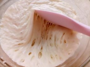 第一步做波兰种，把波兰种材料混合均匀放入保鲜盒，放冰箱冷藏20小时左右。直到里面出现小汽泡。