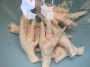 鸡爪洗干净