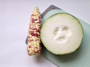 准备玉米一根，冬瓜250g