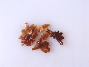 将泡好的桂圆拿出来去里面的核，撕小块