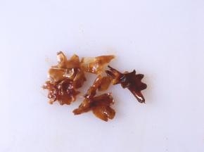 将泡好的桂圆拿出来去里面的核，撕小块