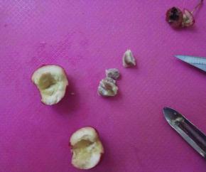 切开果肉，去籽。