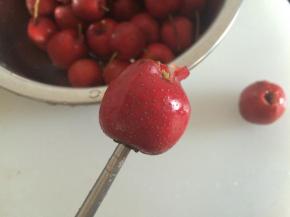 用筷子取出山楂核，如图