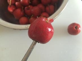 用筷子取出山楂核，如图