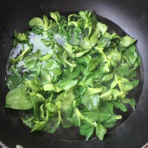 沸水中放一滴油，将穿心莲放入烫约30秒