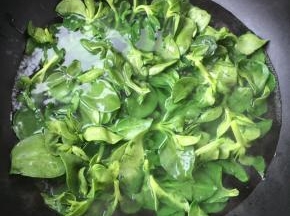沸水中放一滴油，将穿心莲放入烫约30秒