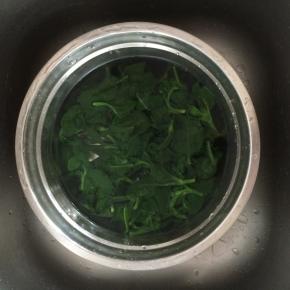 把穿心莲捞出，过一下冷水，捞出沥去水分