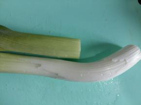 大葱一棵，取葱白用。