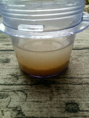 把小米倒入料理杯中，加入半碗凉开水。