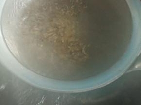 藜麦煮10分钟左右，露出小芽。