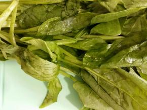 菠菜洗净切三厘米长的段。并烧一锅开水准备焯菠菜。